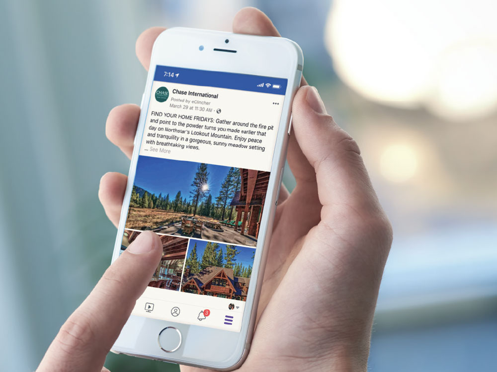 Vector Smart Object-3