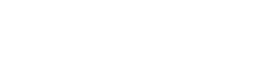 leader